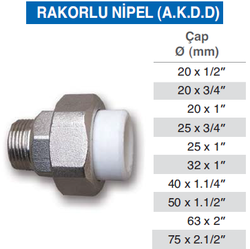 ARILI -40-11/4